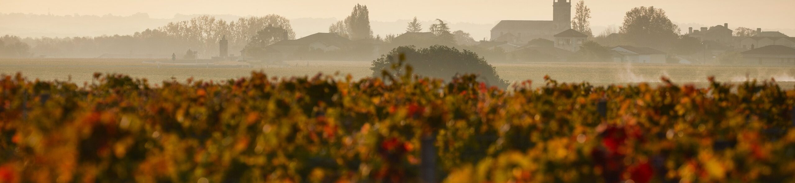 About us post thumbnail image